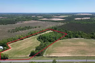 0010 Peanut Rd, Graceville, FL 32440 - Photo 1