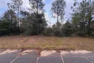 Lot 24 Pinellas Dr, Chipley, FL 32428 - Photo 1
