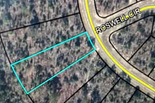 00 Rosetta Dr, Chipley, FL 32428 - Photo 1