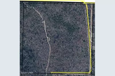 Tbd NW Twin Ponds Road, Altha, FL 32421 - Photo 1