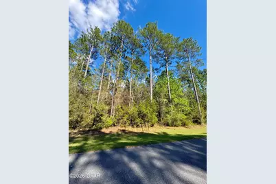 Lot 11 Cypress Crossing Road, Vernon, FL 32462 - Photo 1