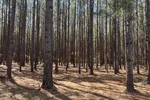 Y Grimes R Grimes Rd, Laurel Hill, FL 32567 - Photo 1