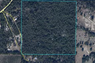 Tbd Doberman Dr, Grand Ridge, FL 32442 - Photo 1