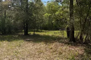 0 Iron Bridge Rd, Marianna, FL 32448 - Photo 1
