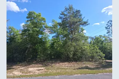Lot 1 Urmey Court, Chipley, FL 32428 - Photo 1