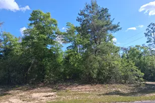 Lot 1 Urmey Ct, Chipley, FL 32428 - Photo 1