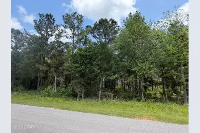 000 Parrish Still Road, Vernon, FL 32462 - Photo 1