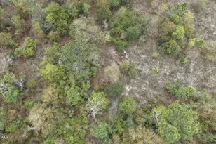 Lot 4 Shelby Ct, Chipley, FL 32428 - Photo 1