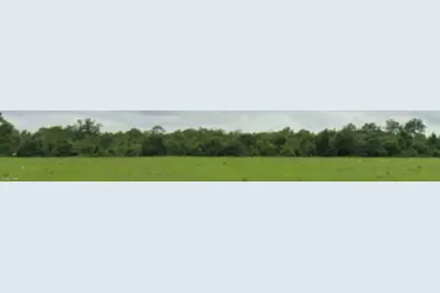 0000 Overpass Road, Campbellton, FL 32426 - Photo 1