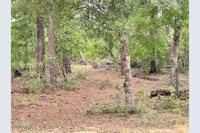 0 E Dixie Drive, Marianna, FL 32448 - Photo 1