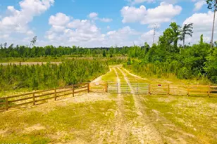 Tbd Sinai Rd, Sneads, FL 32460 - Photo 1