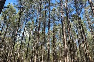 T Grimes Grimes Rd, Laurel Hill, FL 32567 - Photo 1
