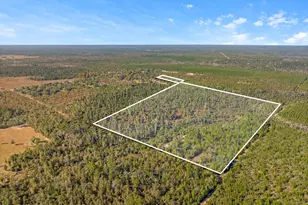 64 Acres NW County Road 274, Altha, FL 32421 - Photo 1