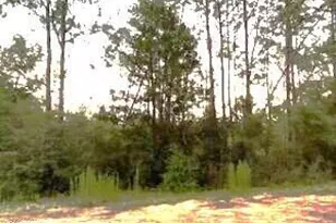 00 Bay Dr, Marianna, FL 32448 - Photo 1