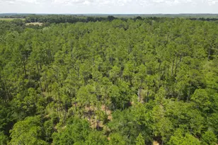 0 St Hwy 83, Defuniak Springs, FL 32433 - Photo 1