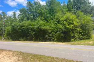 Tbd Galiano Ct, Chipley, FL 32428 - Photo 1