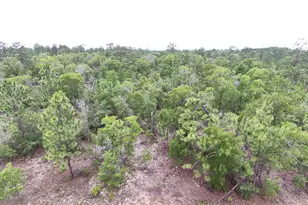 Lot 10 Newcomb Ave, Chipley, FL 32428 - Photo 1