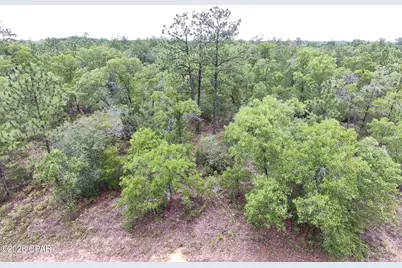 Lot 13 Pinellas Drive, Chipley, FL 32428 - Photo 1