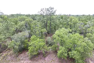 Lot 13 Pinellas Dr, Chipley, FL 32428 - Photo 1