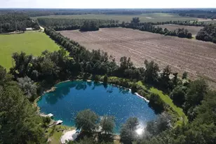 00 Ditty Road Rd, Bascom, FL 32423 - Photo 1