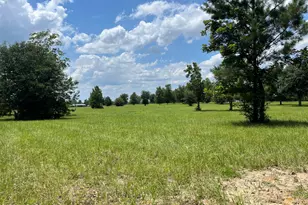 00 Gotcha Rd, Marianna, FL 32448 - Photo 1