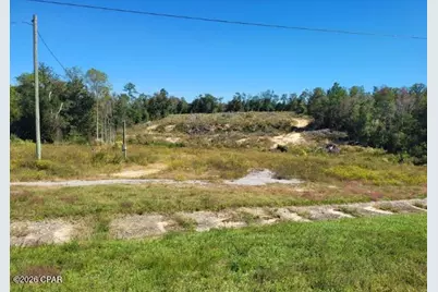 952 Highway 231, Alford, FL 32420 - Photo 1