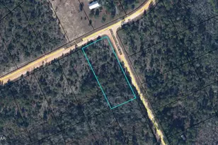 0 Nezperce Dr, Alford, FL 32420 - Photo 1