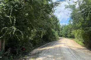0 Chipola Ln, Marianna, FL 32448 - Photo 1