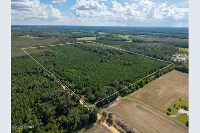Xxx New Prospect Road, Chipley, FL 32428 - Photo 1