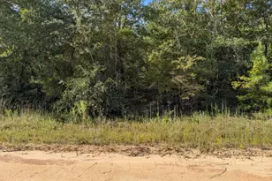 0 Hillside Dr, Marianna, FL 32448 - Photo 1