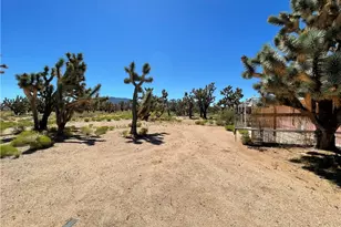 26416 N Apple Dr, Meadview, AZ 86444 - Photo 8