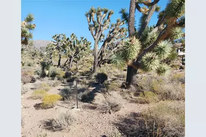 26446 N Driftwood Drive, Meadview, AZ 86444 - Photo 18
