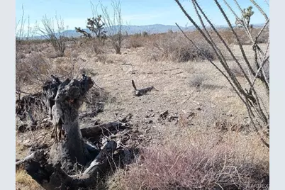 241-14-012 Tom Mix Road, Yucca, AZ 86438 - Photo 14