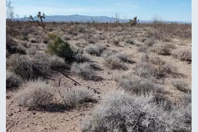 241-14-012 Tom Mix Road, Yucca, AZ 86438 - Photo 2