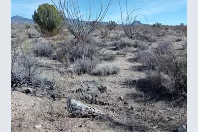 241-14-012 Tom Mix Road, Yucca, AZ 86438 - Photo 8