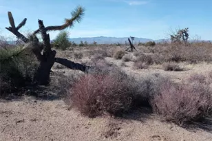 241-14-012 Tom Mix Rd, Yucca, AZ 86438 - Photo 1