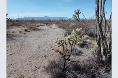 241-14-012 Tom Mix Road, Yucca, AZ 86438 - Photo 10