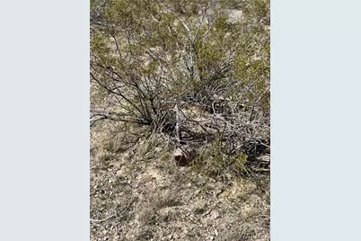 217-05-0540A S Alexandrite, Golden Valley, AZ 86413 - Photo 6