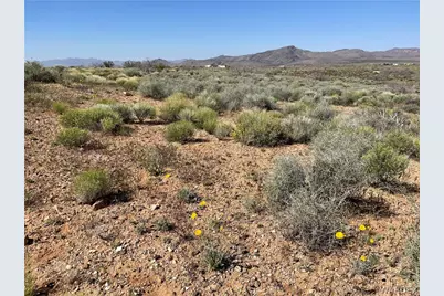 308-19-103 Lots Aksum Drive, Chloride, AZ 86431 - Photo 2