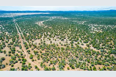 314-55-011 High Mountain Road, Peach Springs, AZ 86434 - Photo 16