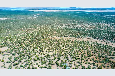 314-55-011 High Mountain Road, Peach Springs, AZ 86434 - Photo 6