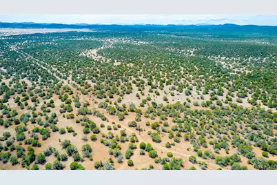 314-55-011 High Mountain Road, Peach Springs, AZ 86434 - Photo 14