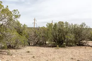 314-55-011 High Mountain Rd, Peach Springs, AZ 86434 - Photo 1
