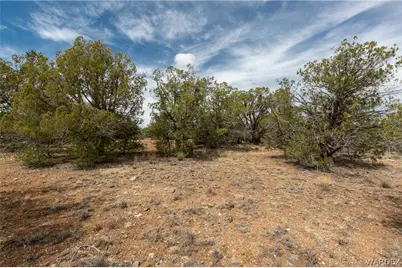 314-55-011 High Mountain Road, Peach Springs, AZ 86434 - Photo 2