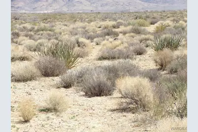 000 Horse Mesa Road, Golden Valley, AZ 86413 - Photo 18