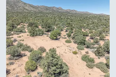 313-77-019 E Green Tree Way, Hackberry, AZ 86411 - Photo 6