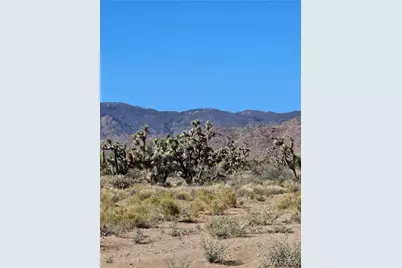 121-10-018 Alamo Road, Yucca, AZ 86438 - Photo 4