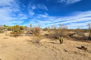 19688 S Diamondback Rd, Yucca, AZ 86438 - Photo 36