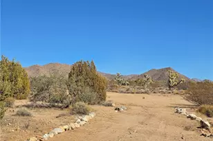 19688 S Diamondback Rd, Yucca, AZ 86438 - Photo 62