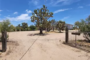 26012 N Peach Ln, Meadview, AZ 86444 - Photo 44